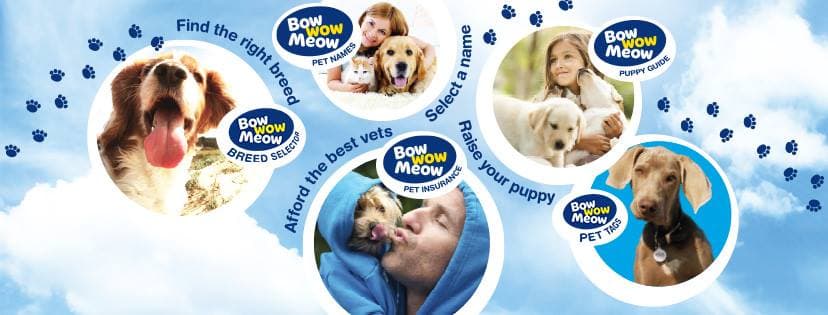 All Bow Wow Meow Deals & Promotions
