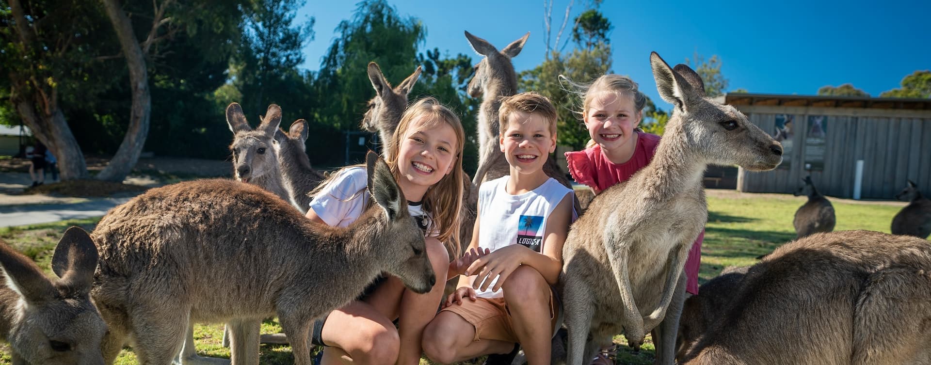 All Symbio Wildlife Park Australia Finds, Options, Promo Codes & Vegan Specials