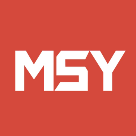 MSY Technology coupons & discounts