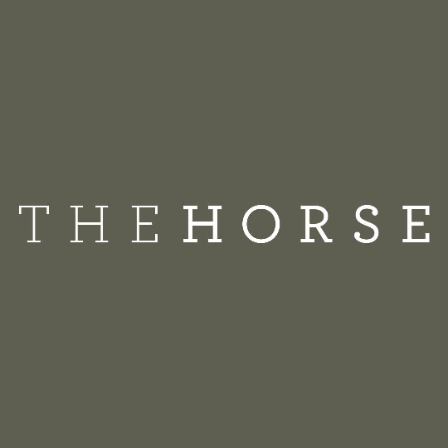 The Horse Offers & Promo Codes