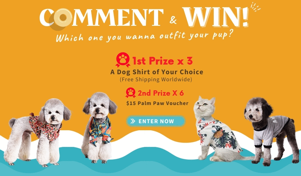 Giveaway of Hawaiian Shirts for Dogs & Cats