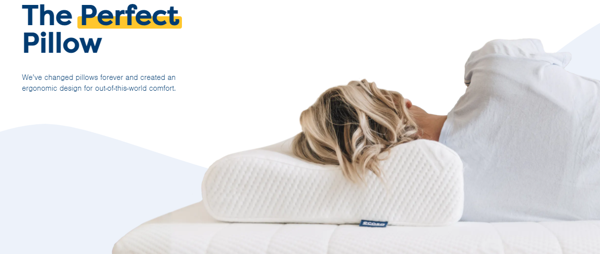Save $20 on each when you buy 2 or more Ecosa Pillow