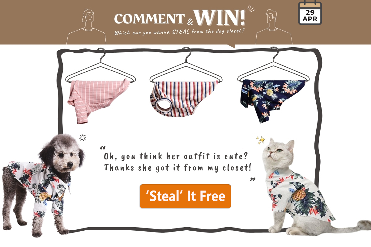 Win 1 of 3 Prizes of $39 Designer Dog Outfit (Even Cats Enjoy Wearing)